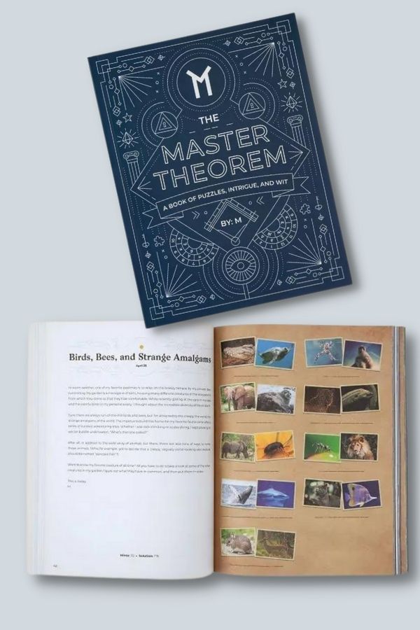 This cool book of puzzles is a great gift for Father's Day