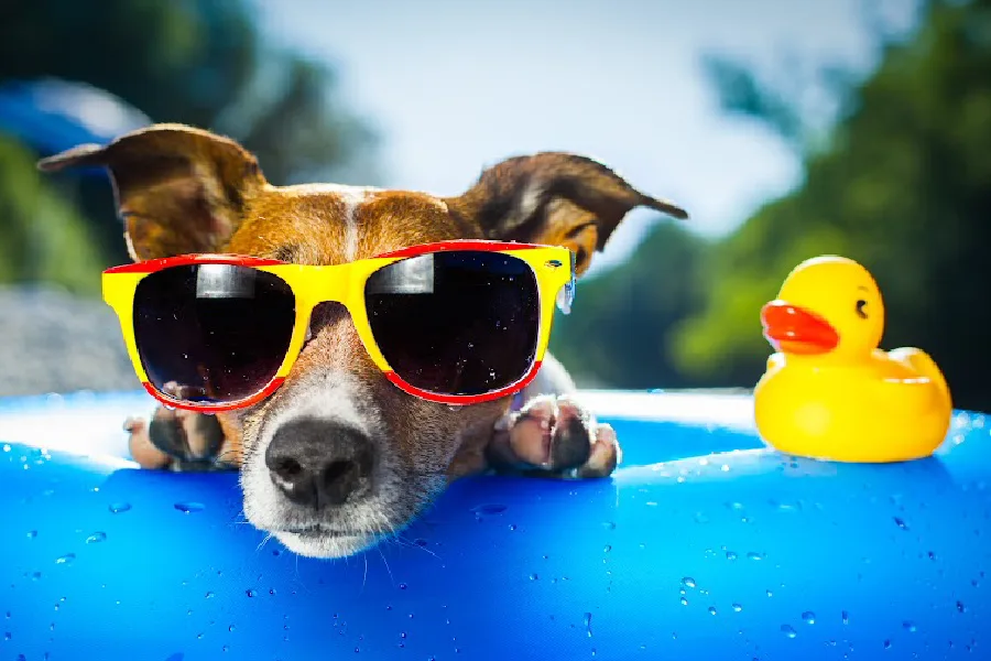10 favorite summer articles from our site to get you through the season