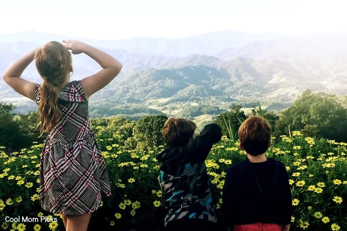 How to have an amazing long weekend in Asheville with kids