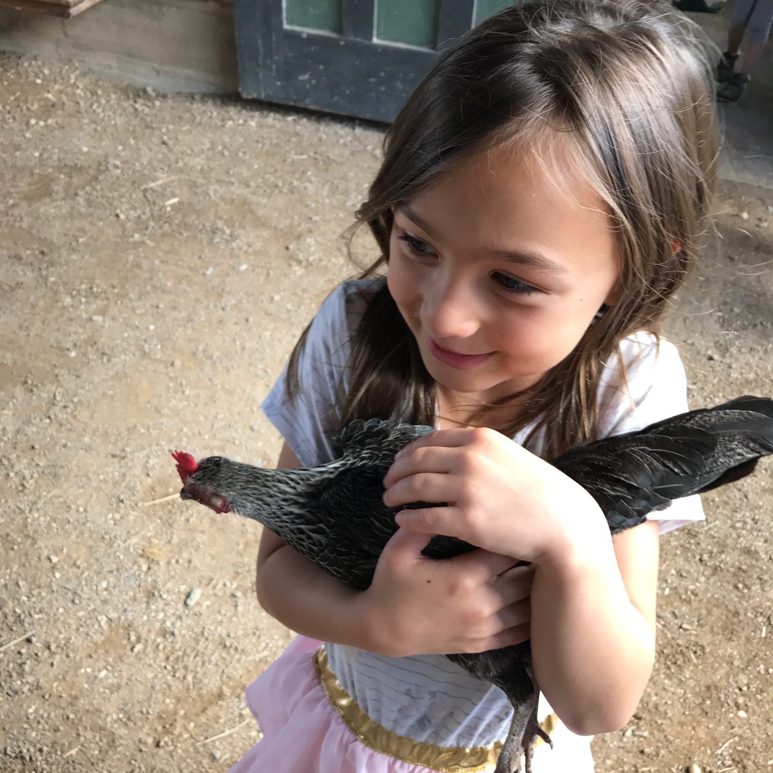 Why you should take a solo road trip with your kids: Fun at Shelburne Farms in Vermont