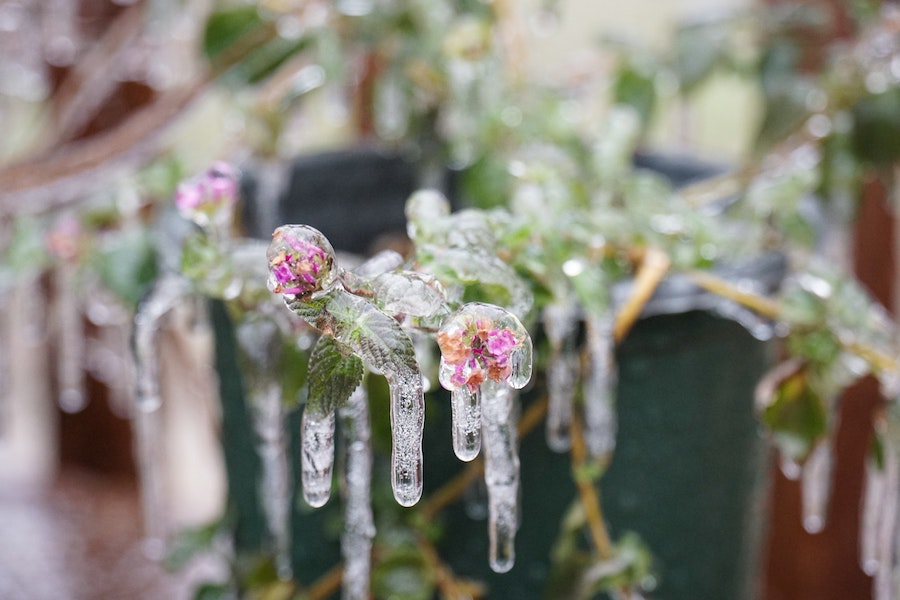 Texas 2021 winter storm: Ways to help right now