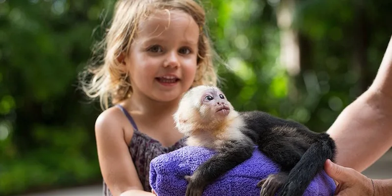 Outrageous birthday party ideas: Jungle Island