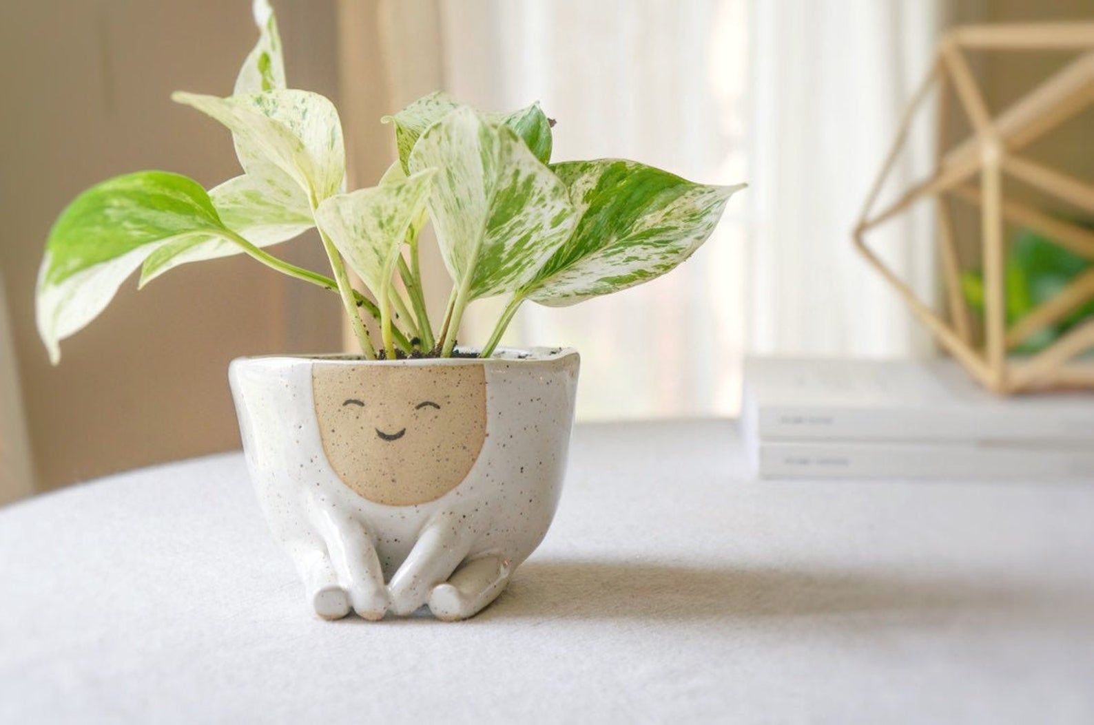 Home office gifts for mom: A fun planter for her desk, like this one at Ceramic Sense 