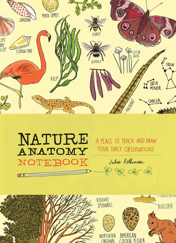 Earth Day activities with kids: Start a nature notebook with kids like this one from Julia Rothman