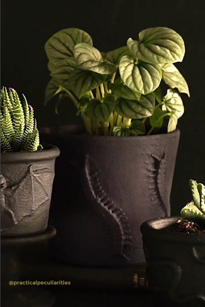 Goth planter craft for teens for Halloween: Via Nikki Alcaraz / Practical Peculiarities for HGTV