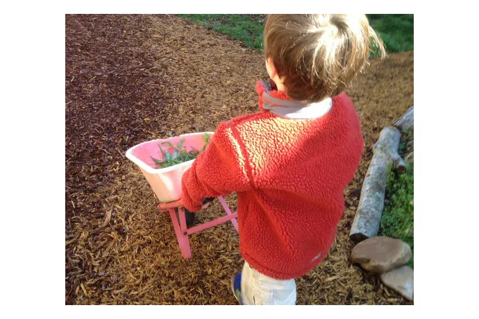 Plant the Seed