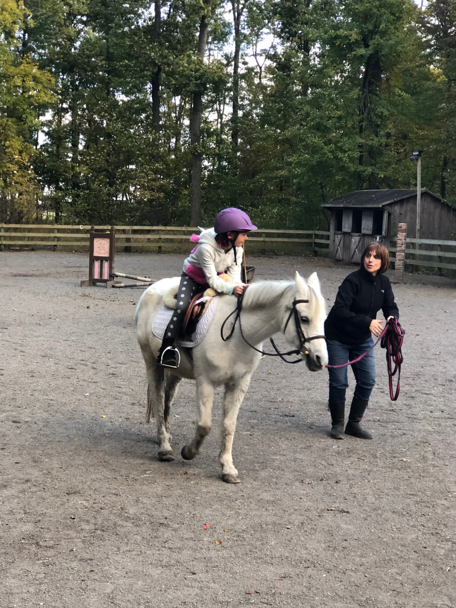 Life lessons from horseback riding: Learning responsibility © Kristen Chase
