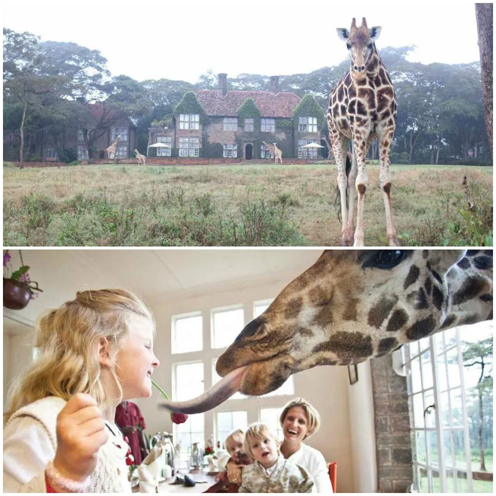 Coolest hotels for kids worldwide: Giraffe Manor in Kenya