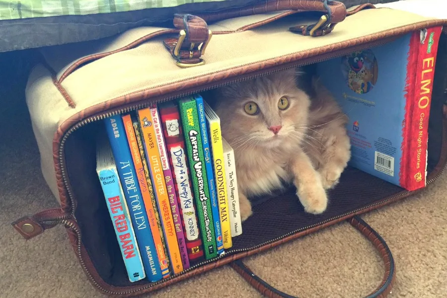 Kids' books organization ideas: Use an old suitcase tucked under the bed.