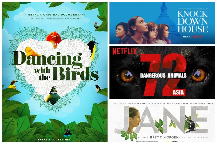15 educational documentaries for kids you can stream right now