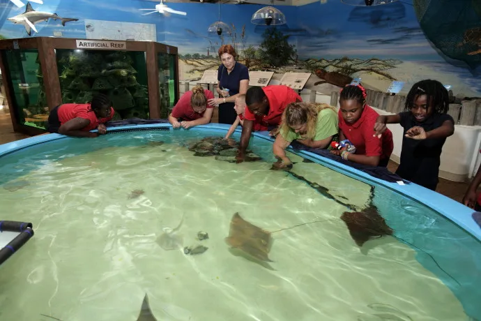 The best things to do in Daytona Beach with families that don't involve the beach.