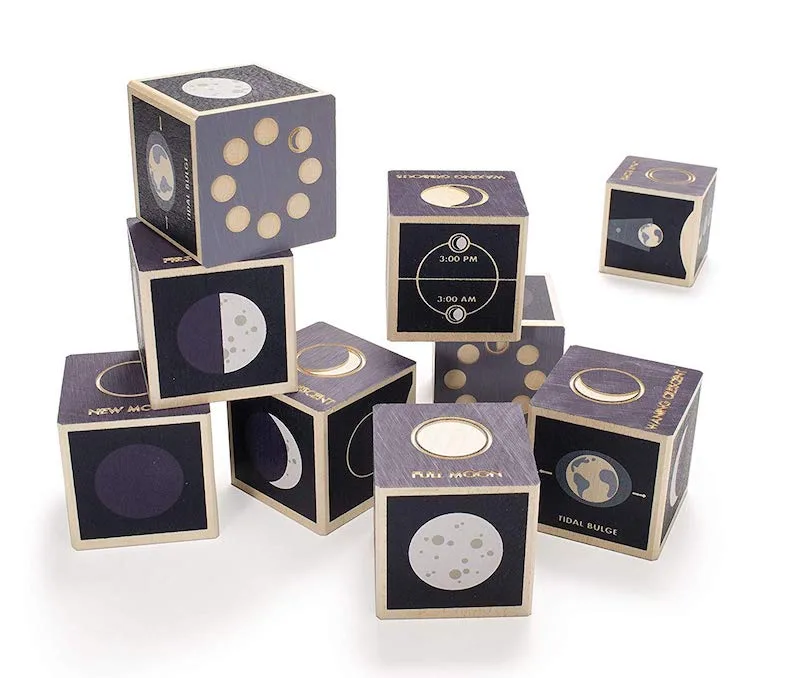 Cool moon toys and gifts for kids: Papa Put a Man on the Moon by Kristy Dempsey and Sara