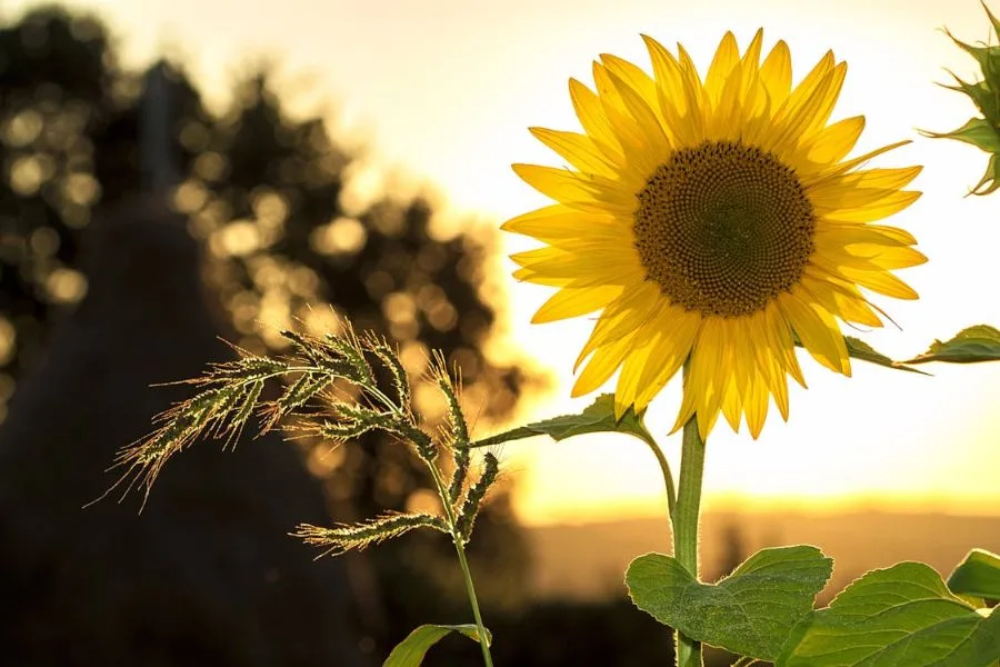 Smart Earth Day ideas for families - and the sustainable brands making it easier