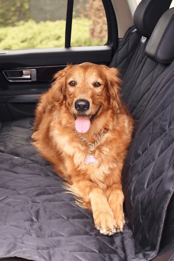 Pet essentials for summer: PupChill Waterproof Cooling Blanket -- toss it over a couch or bed to protect your furniture and your pet