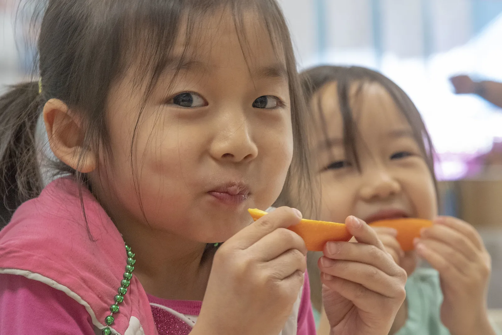 American Families Plan: Changes to school lunch program to support more kids