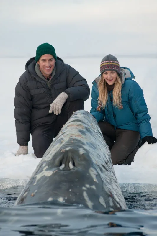 Big Miracle Review - and a little of the celebrity gossip you're hoping for