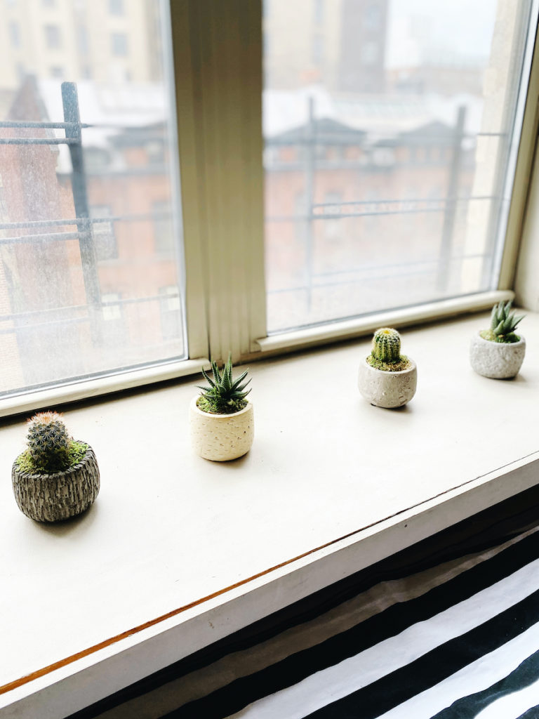 Succulents from The Bouqs and other lovely bouquets for mothers day: How to get them for less right now | CoolMomPicks.com Succulents from The Bouqs and other lovely bouquets for mothers day: How to get them for less right now | CoolMomPicks.com