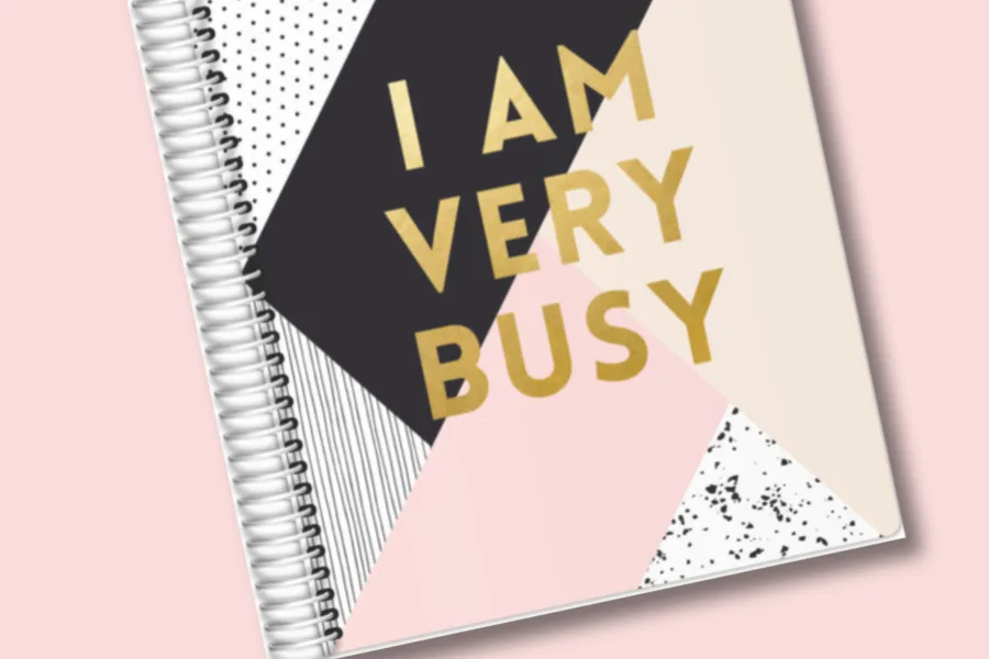 Best 2019-20 school-year planners for parents
